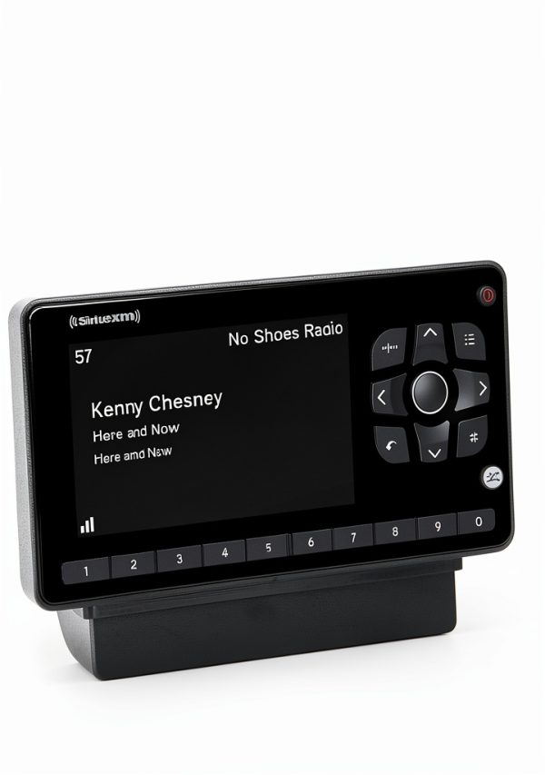 SiriusXM Onyx EZR Satellite Radio Receiver with Home Kit SXEZR1H1-4